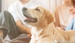 新瑞鵬更新招股書，年?duì)I收57億同比增20%