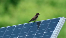 新能源专家：光伏+储能，并不是最佳解决方案