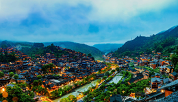 馬蜂窩：選了六便士，丟了命？