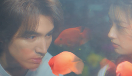 對話《夏花》主創(chuàng)：色彩敘事、成人童話，愛情劇的縱深還很廣