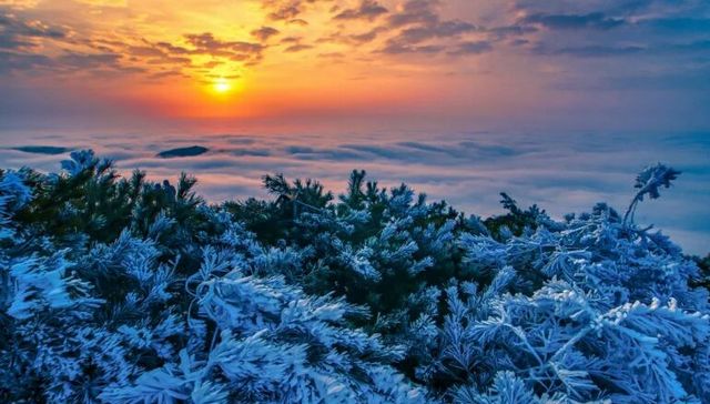 旅游,消费,酒店,投资,委托管理