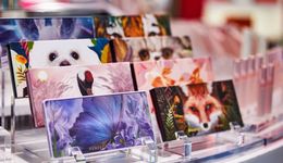 逸仙电商，正在失去彩妆市场