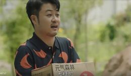 Q1劇綜品牌投放觀察：藥企異軍突起，衍生綜藝打開局面