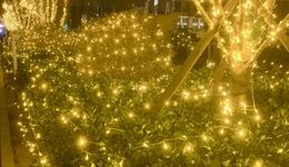 數(shù)讀禾賽科技：中國合伙人“理工版”？