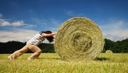 那些把体力活当退路的年轻人怎么样了？