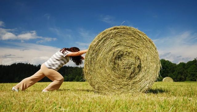 生活,职场,体力活,外卖,白领