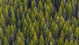 特别策划 | 人生不止一面