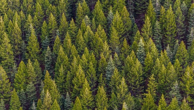 人生哲学,生活方式,白领,蓝领,体力劳动