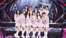 越来越“花心”的哇唧唧哇，“幸福”在哪？