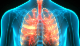 脂质纳米颗粒，将基因编辑直接送进肺部？