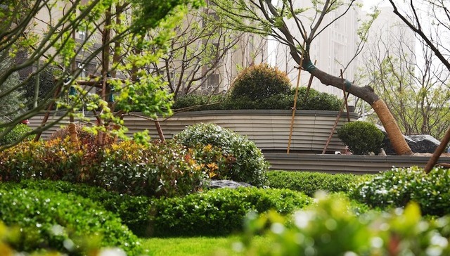 精雕细节、主动“增配”：以匠心，铸就济南人居新标杆