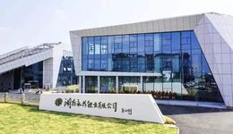 多次转型失败，吉翔股份终靠锂电业绩翻身？