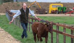 北京中產(chǎn)，五環(huán)外種地