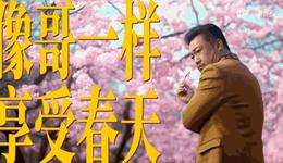 贾冰还“在电梯”，高叶已经“开起”玛莎拉蒂