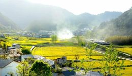 乡村旅游的下半场出路在何方？