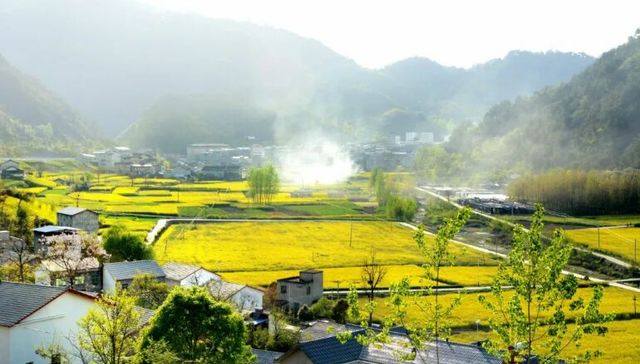 乡村旅游,消费,历史文化,投资