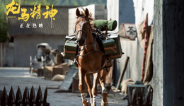 从《忠犬八公》到《龙马精神》，为什么动物的演技这么好？