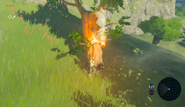 新团队用AI做开放世界，是硬蹭还是业界先驱？