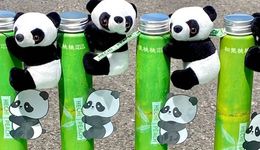 新型“竹筒奶茶”來(lái)了，更安全更上鏡，有品牌已賣出6萬(wàn)杯