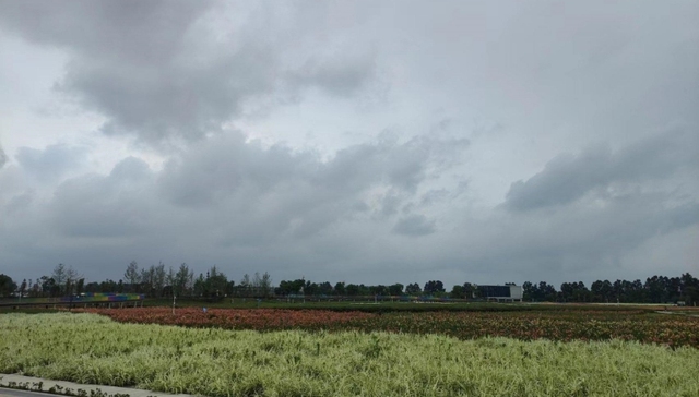 公园“还耕”？成都环城生态公园“退绿还耕”