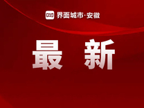 安徽省委常委、市委书记现场办公，专题调研光伏及新能源产业