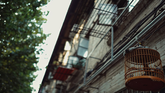 赤沙村旧改迎来最新消息，以98.75%的同意率通过私人住宅拆迁补偿安置方案