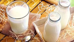 国产乳企进入新周期