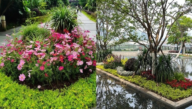 万科物业践行“绿茵行动”，社区开启美颜模式