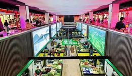 十大菜市場(chǎng)走紅背后，是年輕人的審美疲勞？