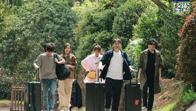 综艺,娱乐,向往的生活,八卦