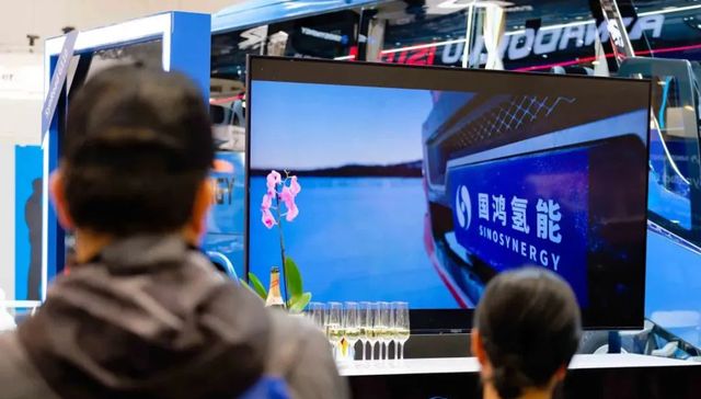 氢能,IPO,招股书,投资