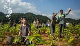 走出京味、海派的舒适圈，多点开花的地域性剧集进入复合价值时代