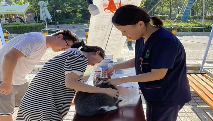 解决“流浪隐患”，普陀这里唱好社区治理合奏曲！