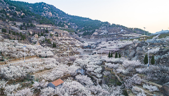 时评｜解码乡村旅游：激发齐鲁乡村振兴的新活力