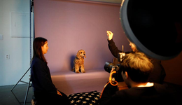 我一个多年前去韩国的朋友，最近回国了