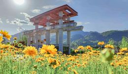 茅台学院的毕业生去哪了？