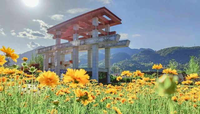 贵州茅台,高等教育,茅台学院,毕业生,就业