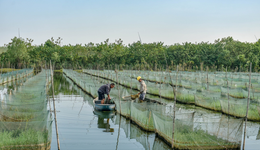 中國(guó)水產(chǎn)養(yǎng)殖需要集約化發(fā)展