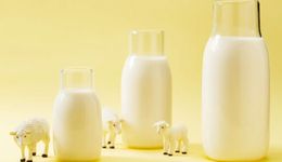 瘋狂的羊奶，遠(yuǎn)未到“牛市”