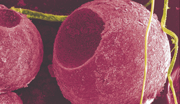 量子点将成为继钙钛矿之后的太阳能革命性技术？转化效率已超40%