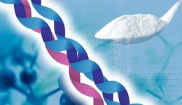 打造美丽童话、拯救关节健康，百亿胶原蛋白市场还能怎么玩？