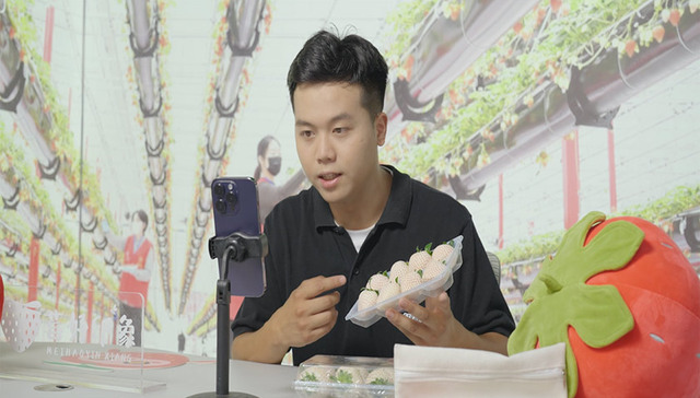 大学生毕业返乡做“莓”创客 新技术服务“土”产业