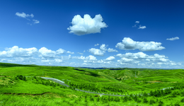 对话新希望首席数字官李旭昶：数字化改造的逻辑不是一味追求高大上