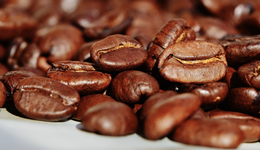 咖啡巷戰(zhàn)，9.9元成生死線