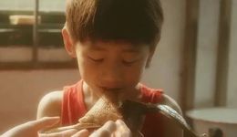 粽子“减肥”，就能打动年轻人吗？