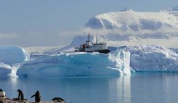 揭秘“富豪極限游”：上天入地，一次180萬