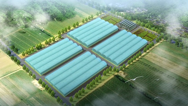 智慧赋能，点亮松潘农业未来，打造数字产业协作金名片