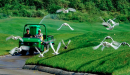 建设基因“联袂”文旅产业，跨界组合如何觅新机？