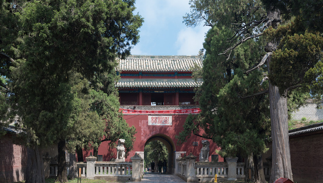 济宁曲阜：放大优势 打响研学旅行圣地品牌