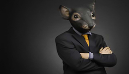 浙商基金“老鼠仓”趋同交易亏损36万元，说明什么？